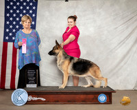 German Shepherd Dog #10 Sat OHG1 Judge Carol Jean Nelson