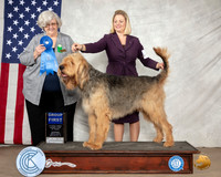 Otterhound #5 Sat G1 Judge Dr Judith Newton