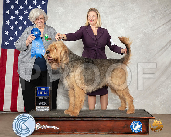 Otterhound #5 Sat G1 Judge Dr Judith Newton__SR_2833-BellvilleCCKC2019-HR3