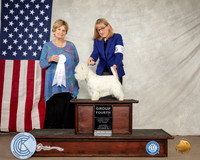 West Highland White Terrier #5 Sat G4 Judge Carol Jean Nelson