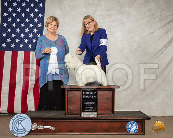 West Highland White Terrier #5 Sat G4 Judge Carol Jean Nelson__SR_2775-BellvilleCCKC2019-HR3