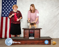 Chihuahua Long Coat #7 Sat G2 Judge Betty Nelson Pollock