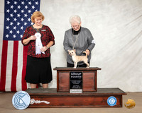 Chihuahua Smooth #10 Sat G4 Judge Betty Nelson Pollock
