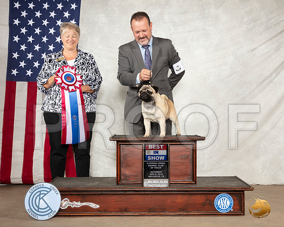 Pug #5 Sat BIS Judge PENNY DISIENA__SR_2965-BellvilleCCKC2019-HR3