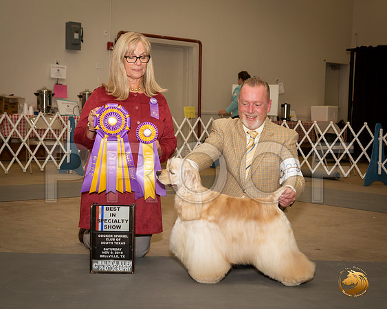 Cocker Spaniel ASCOB #23 Sat BISS Judge Barbara Shaw__JJ_7725-BellvilleCCKC2019-HR3