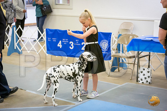 Pee Wee Sat Rings_JJL_3746-BellvilleCCKC2019-HR3