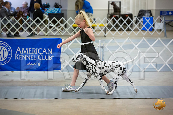 Pee Wee Sat Rings_JJL_3758-BellvilleCCKC2019-HR3