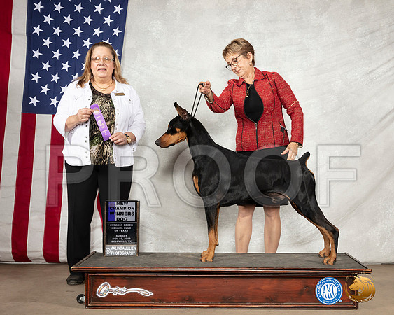 Doberman Pinscher #9 Sun WD NCh Judge Linda Berberich__SR_3132-BellvilleCCKC2019-HR3
