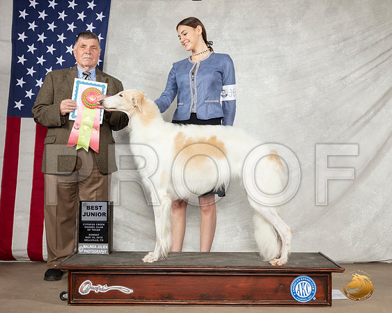 Borzoi #J600 Sun BJr Judge Marshall Lee Sherman__SR_3158-BellvilleCCKC2019-HR3