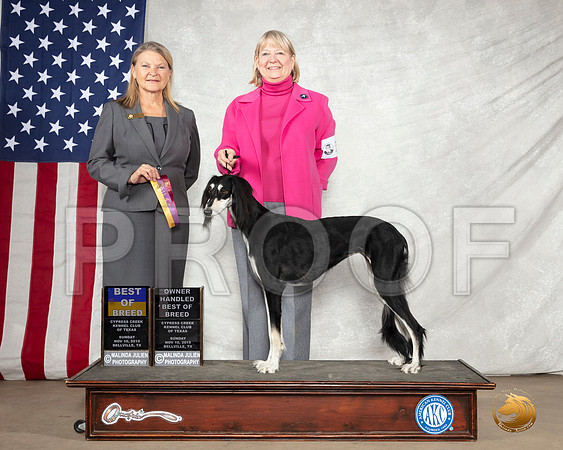 Saluki #12 Sun BOB Judge Michelle La Flamme Haag__SR_3182-BellvilleCCKC2019-HR3