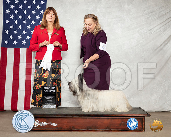 Skye #6 Sun G4 Judge Anne M Barlow__SR_3229-BellvilleCCKC2019-HR3