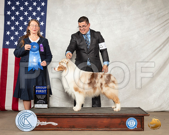 Australian Shepherd #11 Sun G1 Judge Nancy J Eilks__SR_3253-BellvilleCCKC2019-HR3