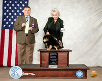 Pomeranian #7 OHG2 Judge Marshall Lee Sherman
