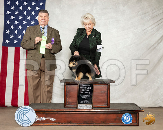 Pomeranian #7 OHG2 Judge Marshall Lee Sherman__SR_3244-BellvilleCCKC2019-HR3
