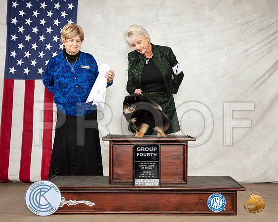 Pomeranian #7 Sun G4 Judge Carol Jean Nelson__SR_3243-BellvilleCCKC2019-HR3