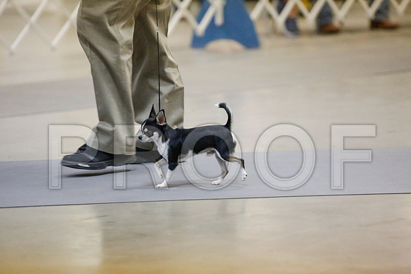 _JJ_8367-AmarilloSept2014-HR3