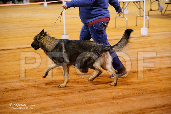 GSD-1026-MrshllDec13-HR