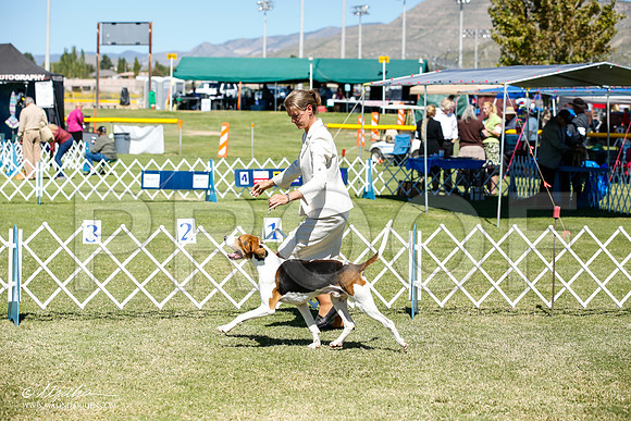 _JN_5214-AlamogordoOct2014-HR3