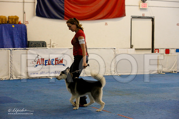 _M3_9431-AddisonHuskyMar2015-HR3