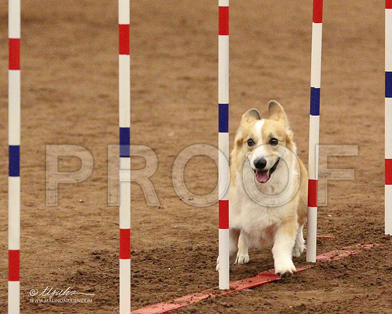 Sn4S-3841LR