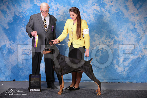 SS2_0626-2-BeltonJan2015IABCA-HR3