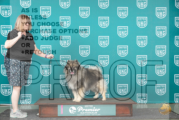Keeshond Miles__JP_2839_Premier_2024_HR3