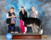 Adrianne Montgomery Midland 2024