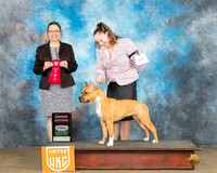 Anissa Littlefield UKC Longview Feb2024