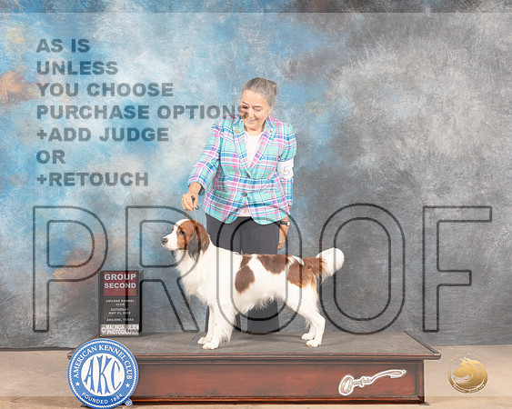 Kooikerhondje #5 Sat G2 Judge Pat Trotter-MMJ_4131-Abilene2022-HR3