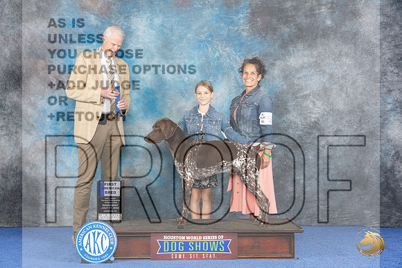 German Shorthaired Pointer #55 Wed AmB1 Judge Jon Cole__JP_7518_Houston_2024_HR3