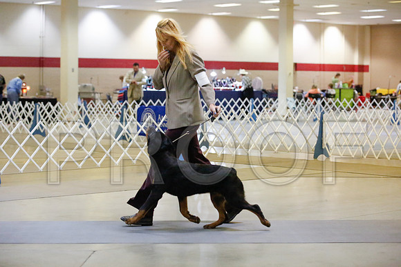 _JJ_7736-AmarilloSept2014-HR3