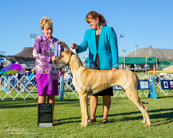 _ST_3475-AlamogordoOct2014-HR3