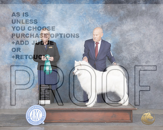 Samoyed #8 Sat OHG3 Judge Alisa Brotherhood__WP_6337_Midland 2025_HR3