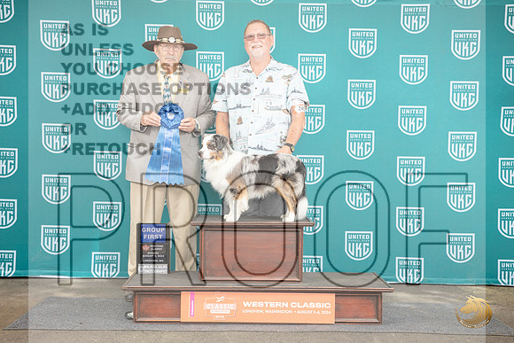 Minature American Shepherd #245 Sun BOB G1 Judge Alan Krenek__JP_1729_Longview WA_2024_HR3