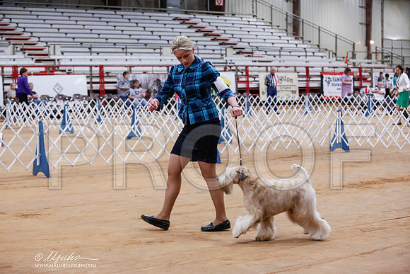 _JJ_8229-TxArJun2014-HR3