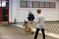 Belgian Malinois #502 Fri Obedience Tracie Kolhnsberg Jelly