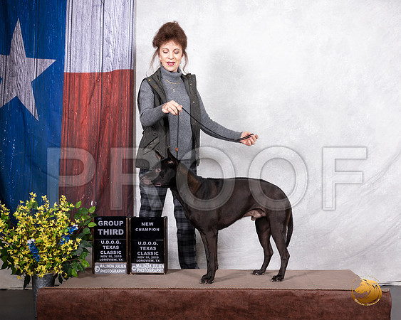 Thai Ridgeback Sat NCh G3__SR_3578-LngUKC2019-HR3