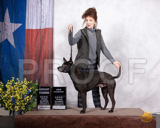 Thai Ridgeback Sat NCh G3__SR_3582-LngUKC2019-HR3