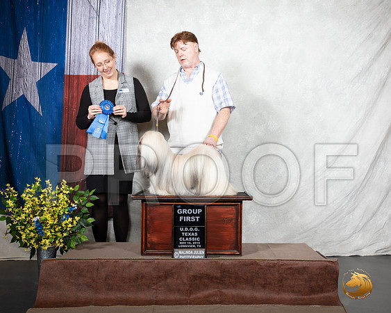Lhasa Apso Sat G1 Judge Jennifer Anderson__SR_3598-LngUKC2019-HR3