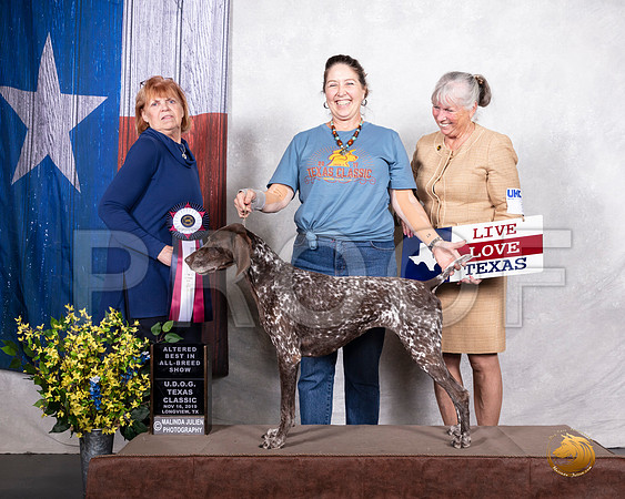 German Shorthaired Pointer #325 Sat AltBIS__SR_3686-LngUKC2019-HR3