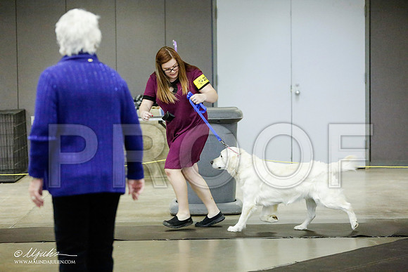 _RH_1040-BeltonJan2015IABCA-HR3