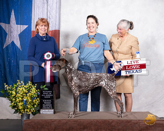 German Shorthaired Pointer #325 Sat AltBIS__SR_3687-LngUKC2019-HR3