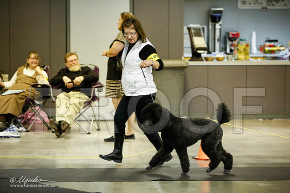 _JJ_5805-BeltonJan2015IABCA-HR3