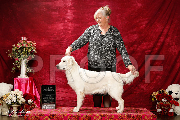 _ST_2900-2-BeltonJan2015IABCA-HR3
