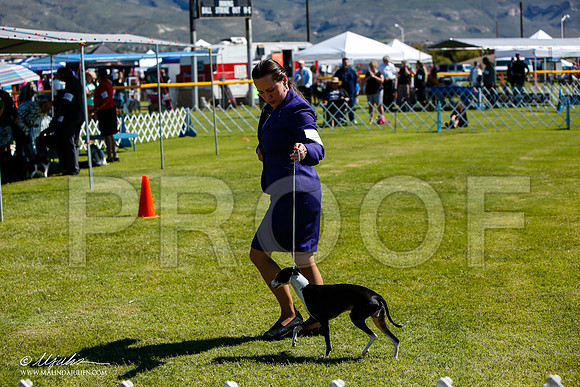 _JJ_5352-AlamogordoOct2014-HR3