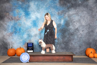 Chinese Crested #6 Sun G1 Judge Tim Catterson