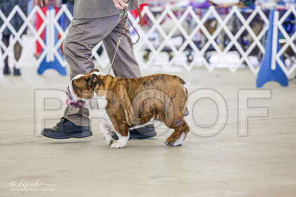 _RH_9537-AlamogordoOct2014-HR3