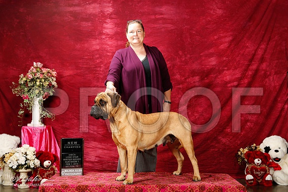 _ST_2879-2-BeltonJan2015IABCA-HR3