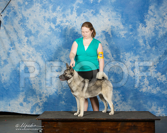 _ST_9875-CnroeJul2014-HR3