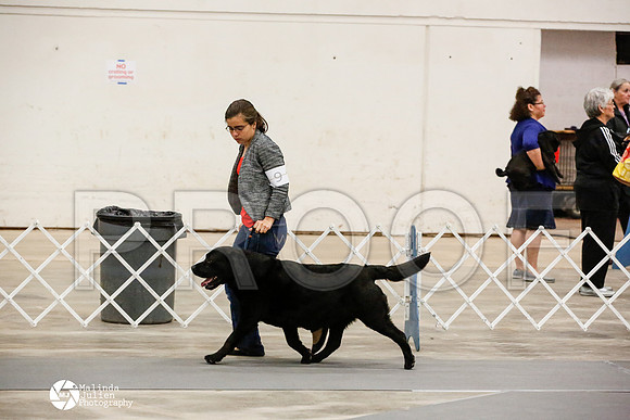 _JN_9969-AblnMay2014-web